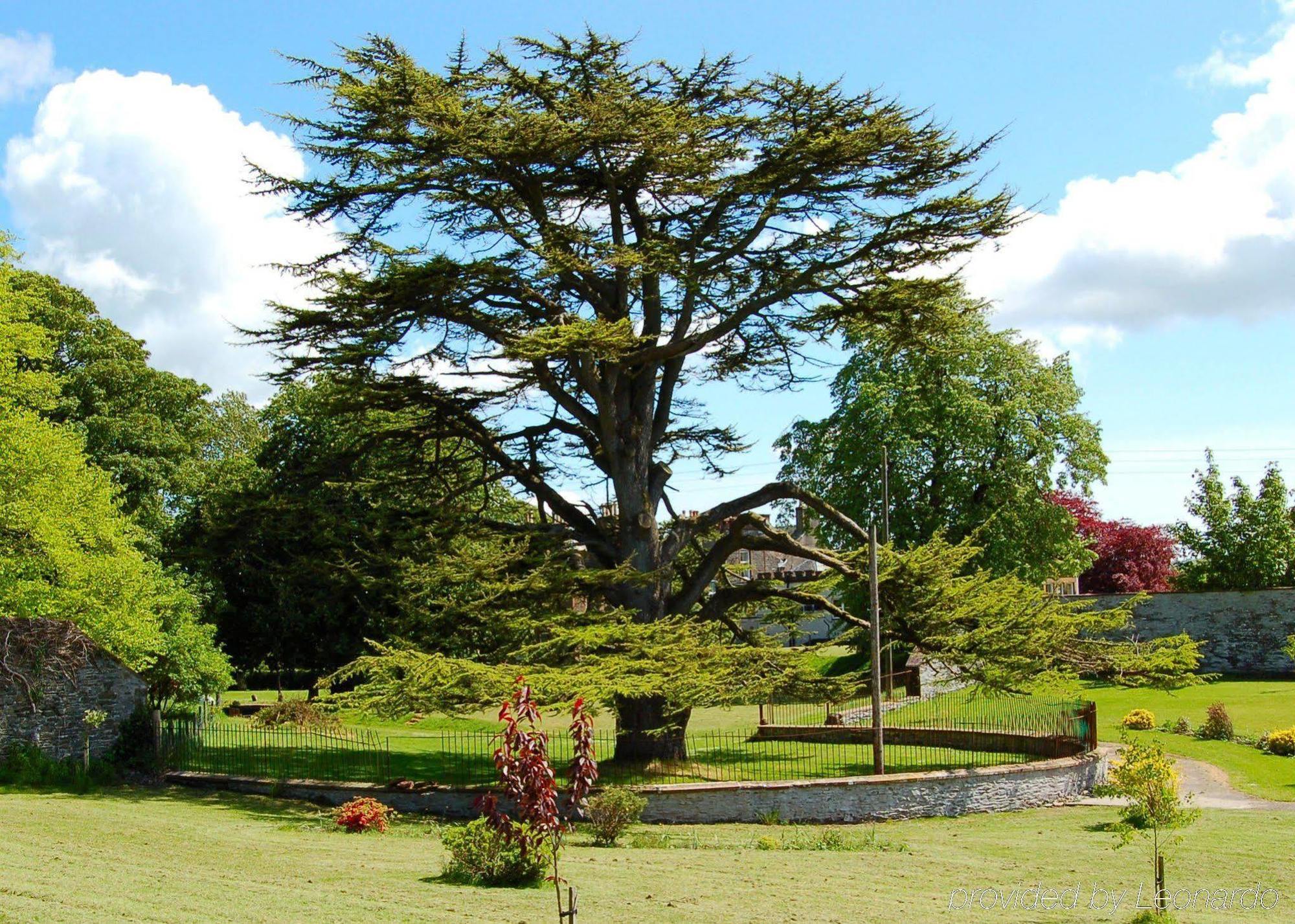 The Urr Valley Country House Hotel Castle Douglas Exterior foto